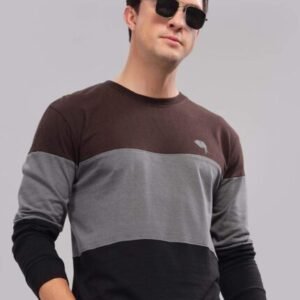 RFS006 || Brown Trio || Round Neck Full Sleeve T-Shirt
